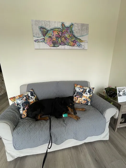 Holistic Veterinary Services 12