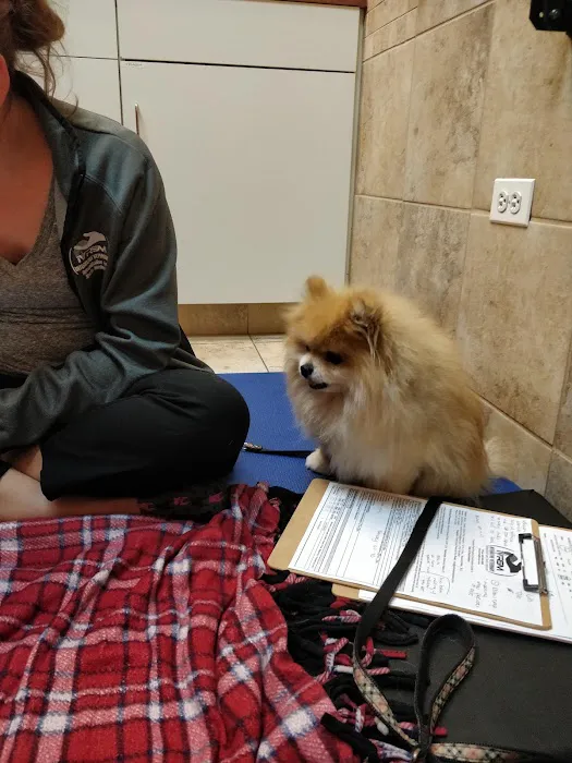 Integrative Veterinary Rehabilitation & Sports Medicine 12