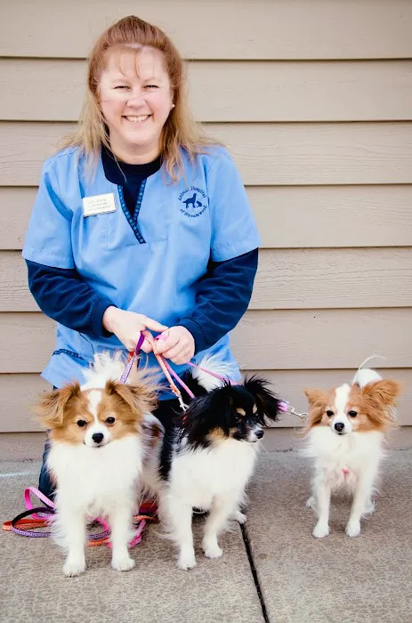 Animal Hospital of Streamwood 12