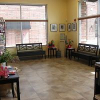 Lake Street Animal Hospital ico