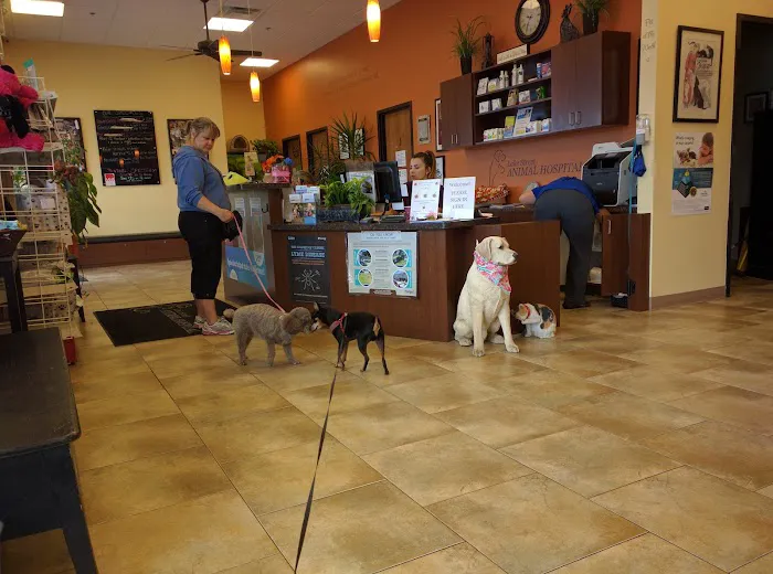 Lake Street Animal Hospital 12