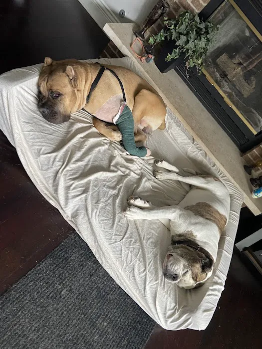 Lake Street Animal Hospital 12