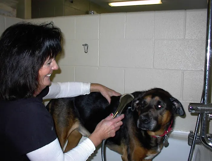 Heartland Animal Hospital, P.C. 12