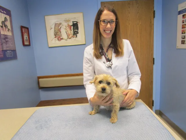 Heartland Animal Hospital, P.C. 12