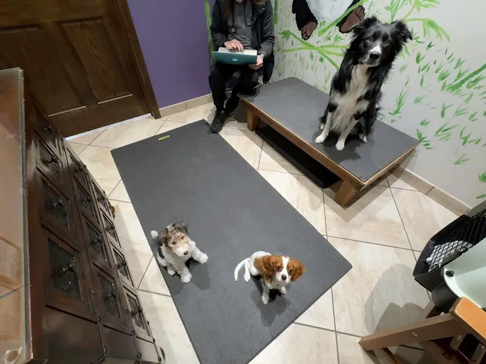 The Whole Pet 12
