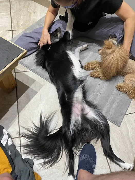 The Whole Pet 12