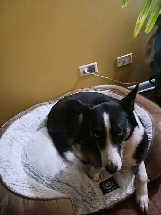 Banfield Pet Hospital 12
