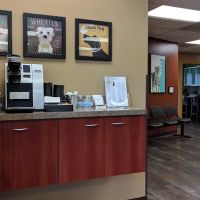 Sutton Road Animal Hospital ico