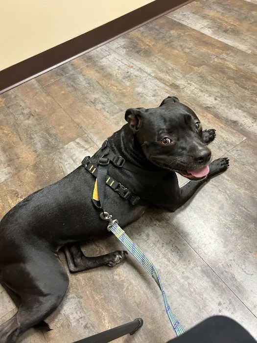 Sutton Road Animal Hospital 9