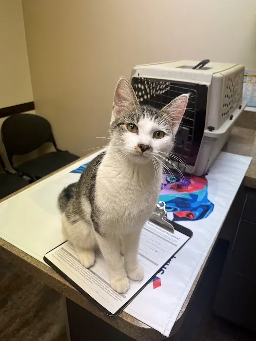 Sutton Road Animal Hospital 7