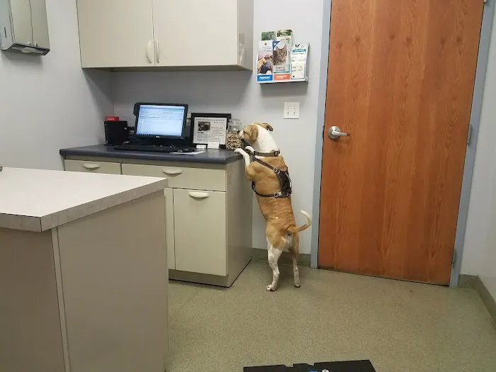Bartlett Animal Hospital 10