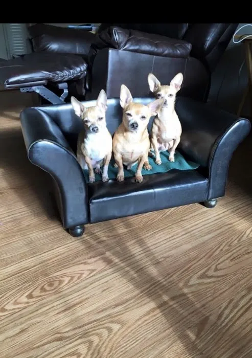 Bartlett Animal Hospital 6