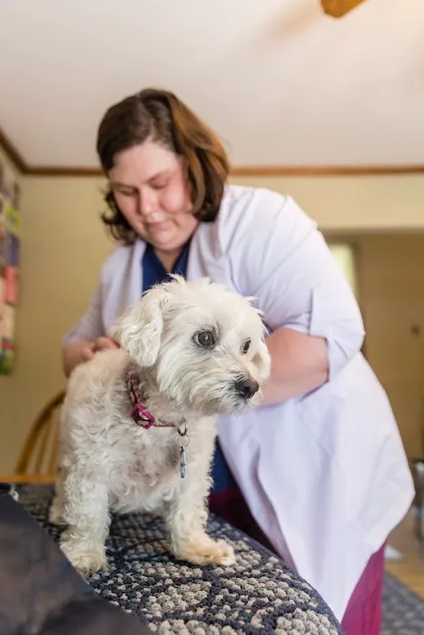 Ondera Veterinary Services 5