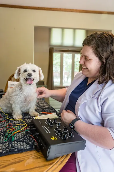 Ondera Veterinary Services 6