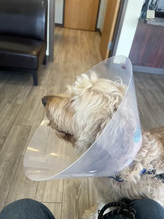 Army Trail Animal Hospital LLC 12