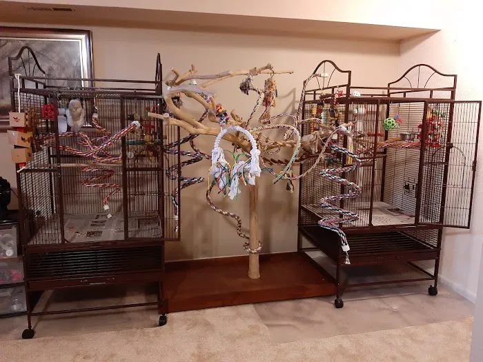 Army Trail Animal Hospital LLC 12