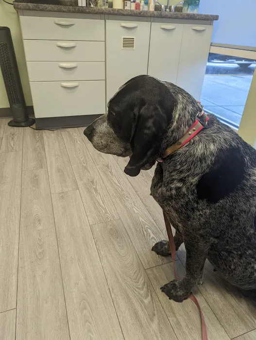 Army Trail Animal Hospital LLC 12