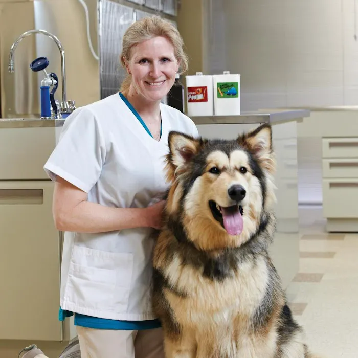 Army Trail Animal Hospital LLC 12