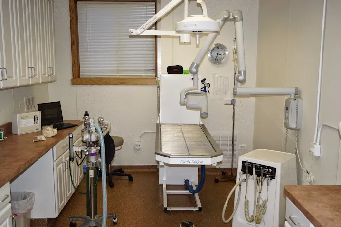 Animal Medical Center of Itasca 12