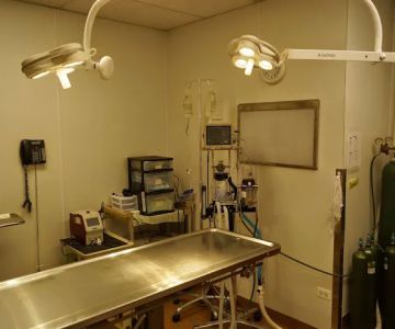 Animal Medical Center of Itasca