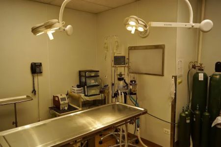 Animal Medical Center of Itasca