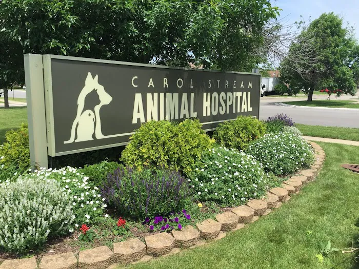 Carol Stream Animal Hospital 12