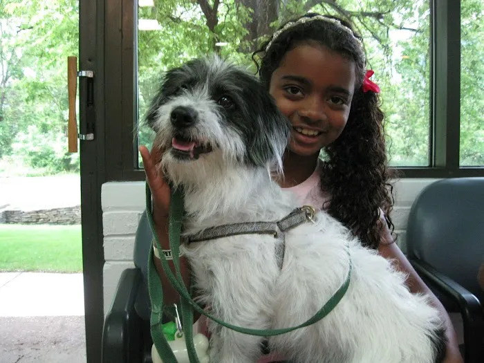 County Line Animal Hospital 8