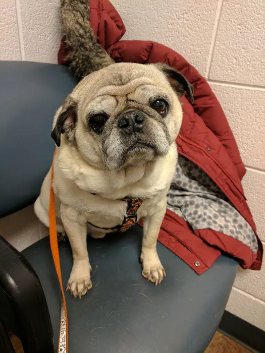County Line Animal Hospital 2