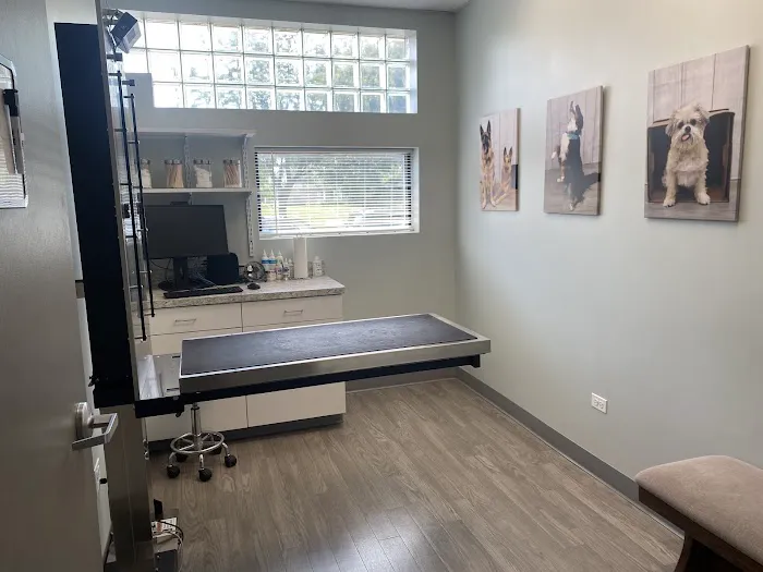VCA Naper Ridge Animal Hospital 12