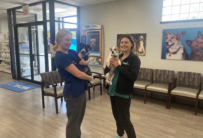 VCA Naper Ridge Animal Hospital 12