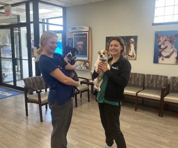 VCA Naper Ridge Animal Hospital