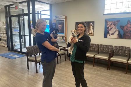 VCA Naper Ridge Animal Hospital