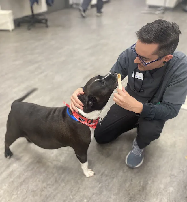 VCA Naper Ridge Animal Hospital 12