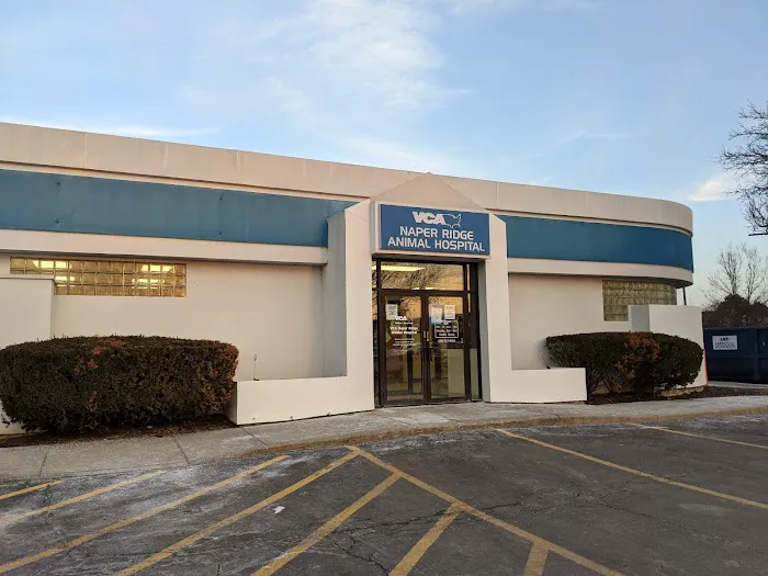 VCA Naper Ridge Animal Hospital 12