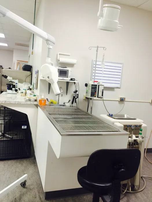 VCA Naper Ridge Animal Hospital 12