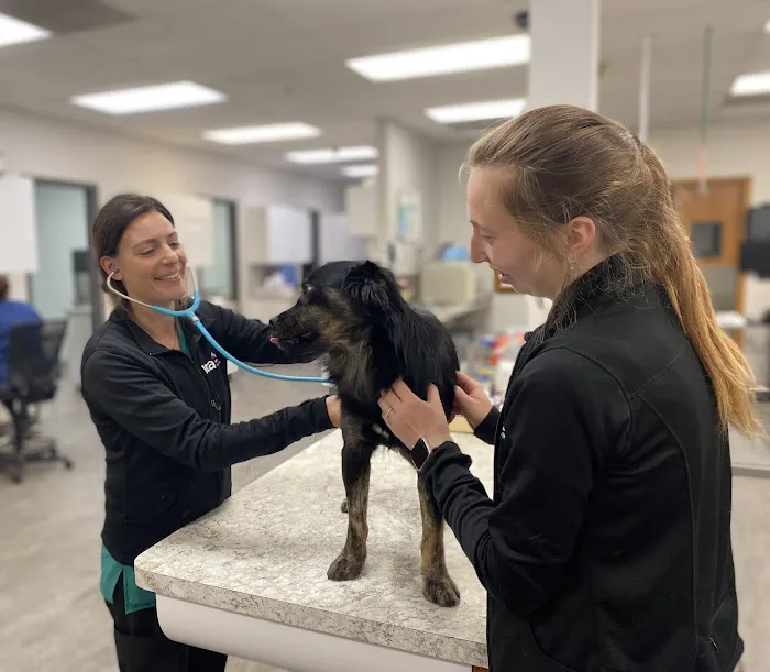 VCA Naper Ridge Animal Hospital 12