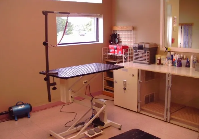 VCA Naper Ridge Animal Hospital 12