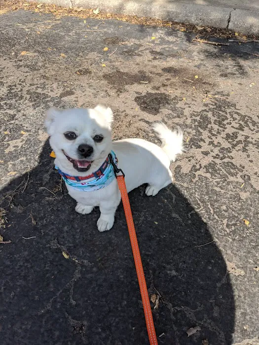 VCA Bolingbrook Animal Hospital 1