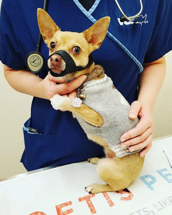 VCA Bolingbrook Animal Hospital 2