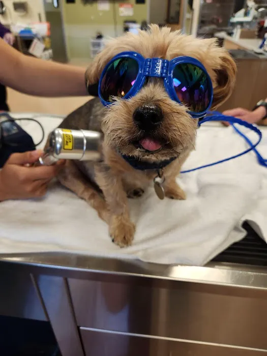 VCA Bolingbrook Animal Hospital 6