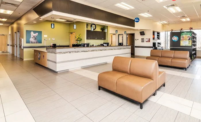 VCA Bolingbrook Animal Hospital 8