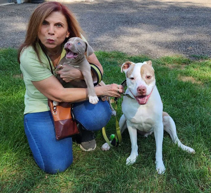 Warrenville Grove Animal Hospital 12