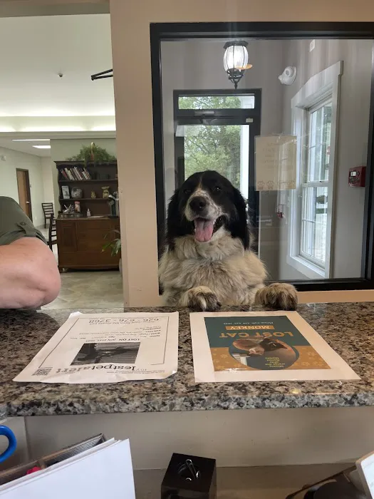 Warrenville Grove Animal Hospital 12