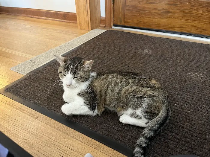Warrenville Grove Animal Hospital 12