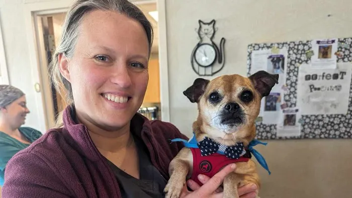 VCA Boulder Terrace Animal Hospital 1