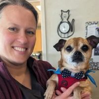 VCA Boulder Terrace Animal Hospital ico