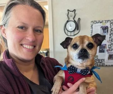 VCA Boulder Terrace Animal Hospital