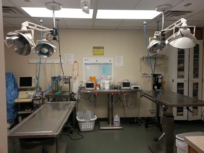 VCA Boulder Terrace Animal Hospital 6