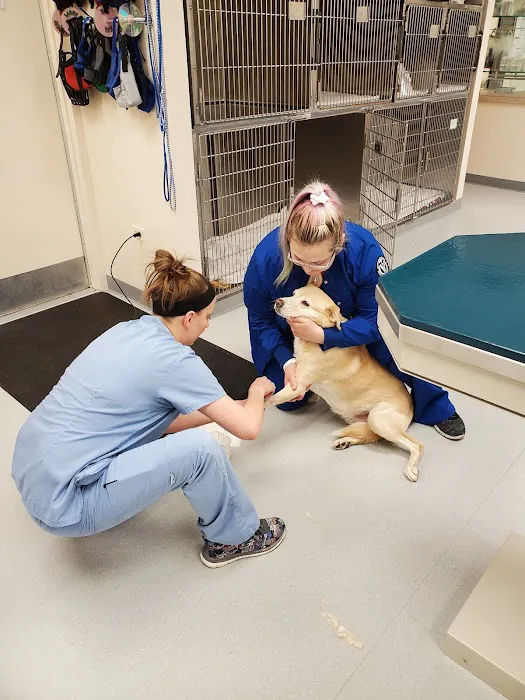 VCA Boulder Terrace Animal Hospital 7