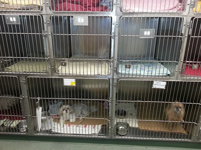 VCA Boulder Terrace Animal Hospital 10